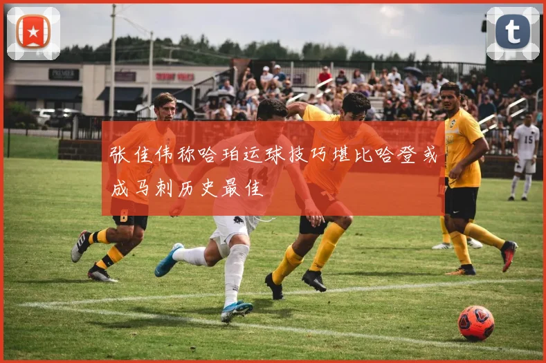 张佳伟称哈珀运球技巧堪比哈登或成马刺历史最佳