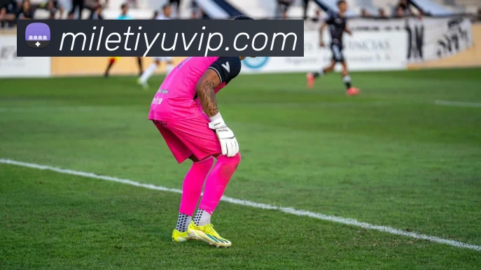 米乐体育APP 封面图