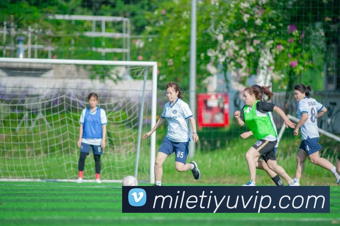 数据防护可视化